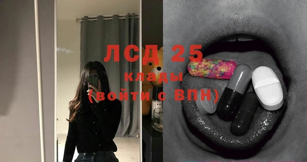 СК Бердск