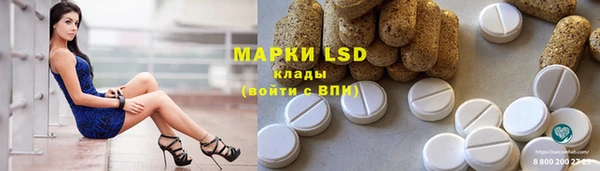 PSILOCYBIN Медвежьегорск
