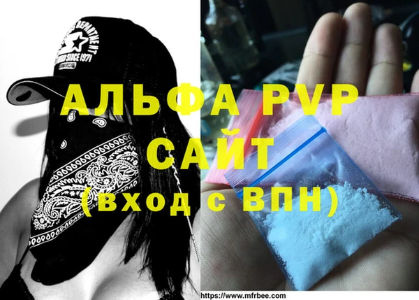 PSILOCYBIN Медвежьегорск