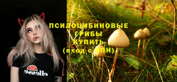 mdpv Майский