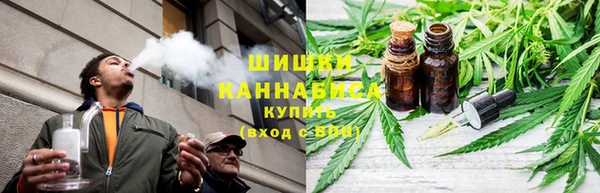 PSILOCYBIN Медвежьегорск